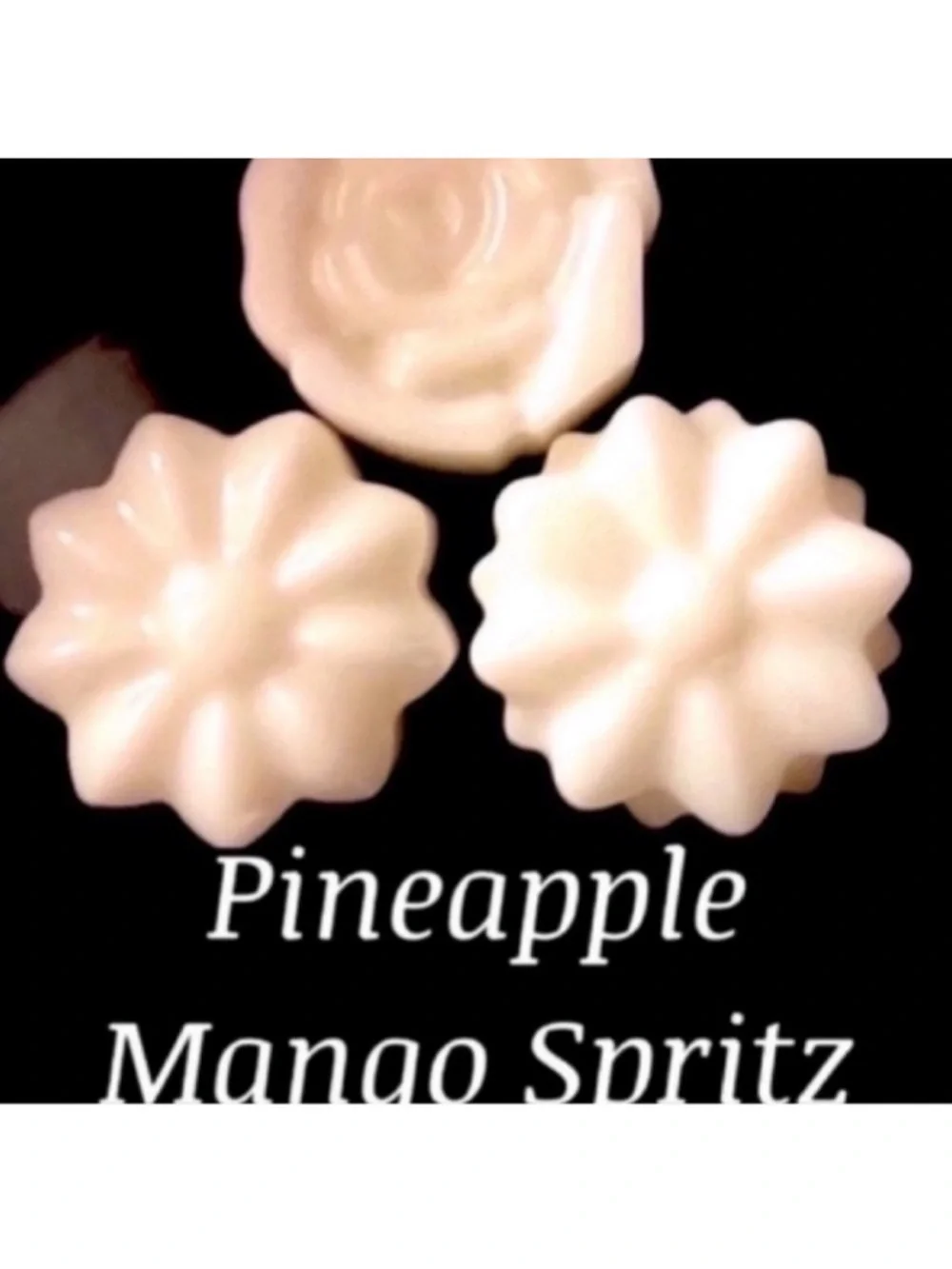 Bath & Body Works wax melt